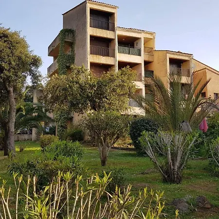 Corse Acces Direct A La Calcatoggio (Corsica)