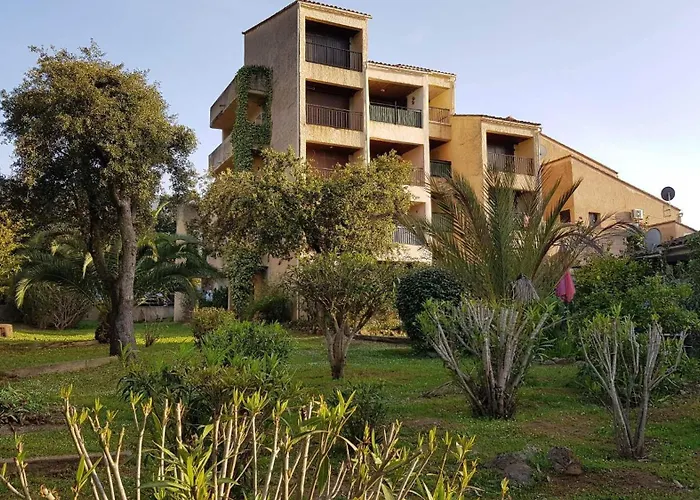 Corse Acces Direct A La Calcatoggio (Corsica)